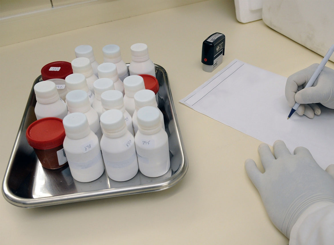 8 Congue eget dapibus congue tincidunt - ثبت شریعتی